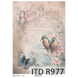 Papier ryżowy ITD A4 R0977, ptak, motyl, ćma, pastelowe tło, list